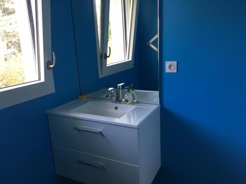 une salle de bain bleue avec un lavabo et un miroir dans l'établissement Maison FONGRAIN, à Annecy