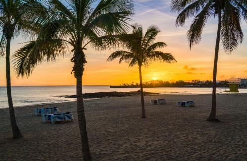 a group of palm trees on a beach at sunset at Apto Islote in Arrecife