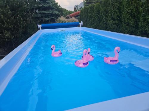 Mazurska Tajemnica 3 - Domek D