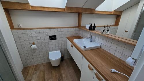 a bathroom with a sink and a toilet at Rest Village 5A Trzęsacz in Pustkowo