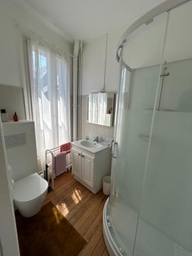 a bathroom with a shower and a toilet and a sink at Ma jolie maison de Pont l'Evêque in Pont-lʼÉvêque
