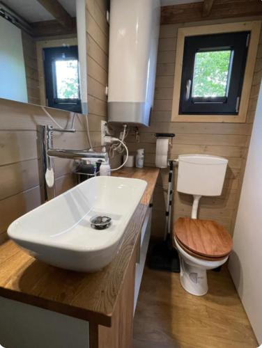 a bathroom with a sink and a toilet at La Tiny House de Nanou in Rochefort