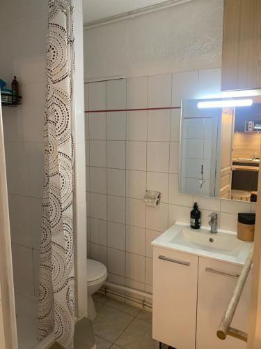 une salle de bain avec un lavabo, des toilettes et un miroir dans l'établissement Appartement Hyper centre historique Toulouse capitole cosy, à Toulouse