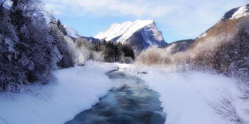 アパートメントの近くで見られる自然の景観