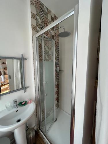 a bathroom with a shower and a sink at Ma jolie maison de Pont l'Evêque in Pont-lʼÉvêque