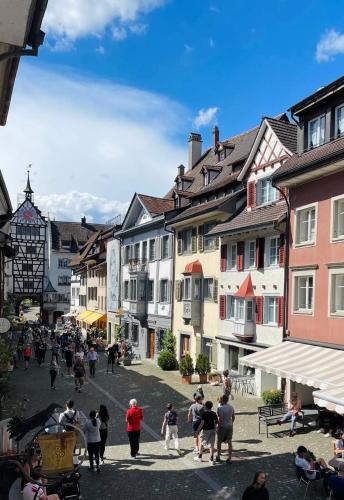 a group of people walking down a street with buildings at Understadt 14 guesthouse in Stein am Rhein