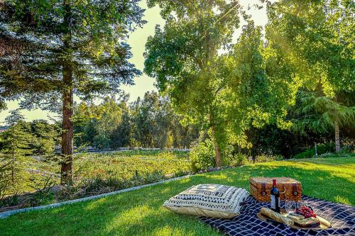 a picnic blanket on the grass in a yard at The Oaktree Estate by Fieldtrip 7 Acre Private Resort with Lake Pool Vineyard in Lake Elsinore