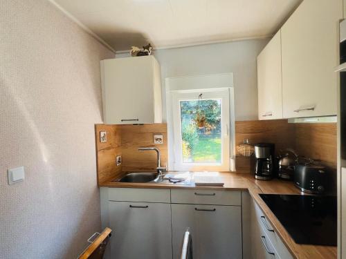 Η κουζίνα ή μικρή κουζίνα στο Ferienhaus Fuxbau