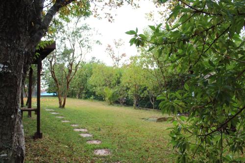 a park with a tree and a grass field at Aguas del Monte Hotel&Spa in Tomé