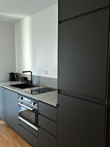 La cuisine est équipée d'un réfrigérateur noir et d'un évier. dans l'établissement Appartement moderne, à Dijon