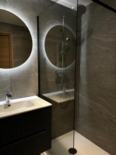une salle de bain avec un lavabo et une douche avec un miroir dans l'établissement Appartement moderne, à Dijon
