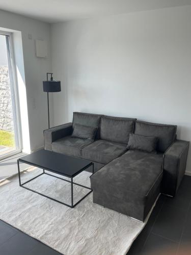 a living room with a couch and a coffee table at Luxuswohnung direkt am Phönixsee in Dortmund