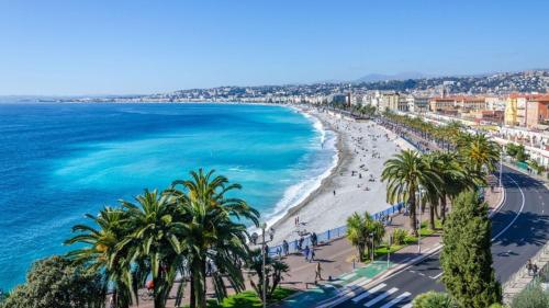 une vue sur une plage avec des palmiers et l'océan dans l'établissement Appartement cosy avec grande terrasse, à Nice