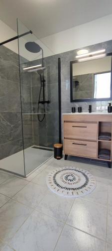 une salle de bain avec une douche, un lavabo et un miroir dans l'établissement Charmante maison, à Carcassonne