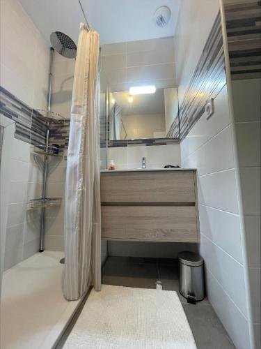 a bathroom with a sink and a shower with a mirror at Gîtes de Chaum in Chaum