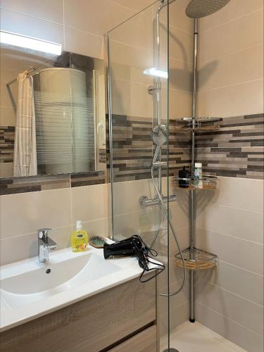a bathroom with a sink and a glass shower at Gîtes de Chaum in Chaum