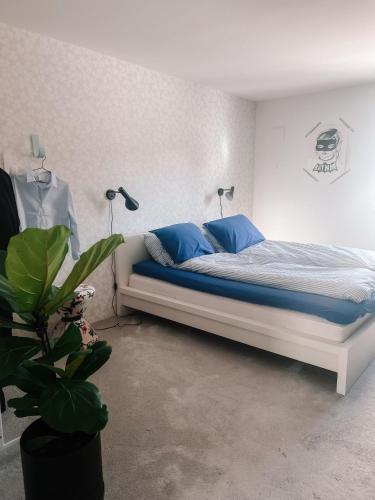 a bedroom with a bed with blue pillows and a plant at Modern house 5 bedrooms 2 baths sentral in Bodø