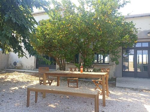 a picnic table and bench under an orange tree at Campagne et Mer in Perpignan