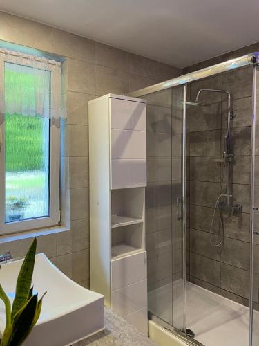 a bathroom with a shower with a glass door at Szczawnica - Pokoje z widokiem na góry in Szczawnica