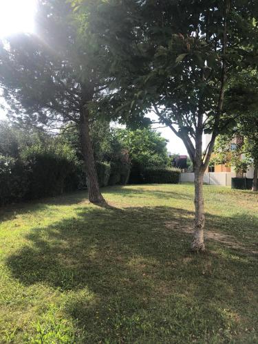 deux arbres dans une cour herbeuse avec le soleil derrière eux dans l'établissement studio avec parking Montpellier, à Montpellier