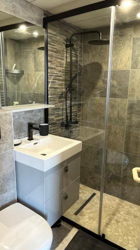 une salle de bain avec un lavabo et une douche dans l'établissement Le Vichy Centre, spacieux et cosy T2 avec vue, au calme, à Vichy