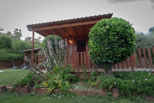 a wooden cabin with a garden in the yard at El jardín del Edén in Órgiva