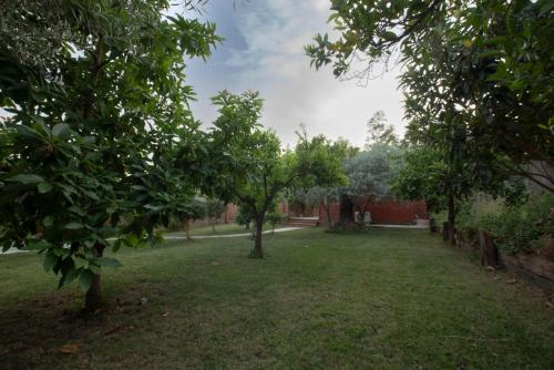 a yard with two trees in the grass at El jardín del Edén in Órgiva