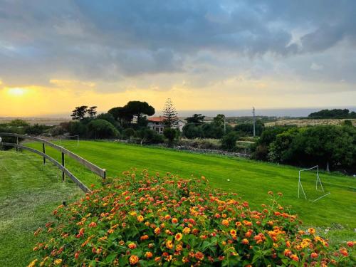 a field of flowers with the sunset in the background at Abbaidda Hotel in Valledoria