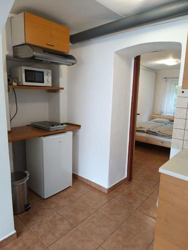 a room with a kitchen and a bedroom with a bed at Ubytování pod Ostašem in Police nad Metují