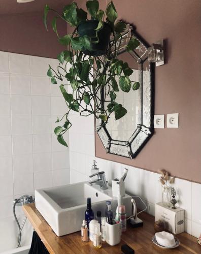 un lavabo de salle de bain avec une plante en pot sur le mur dans l'établissement Villa des rosiers, à Saint-Ouen
