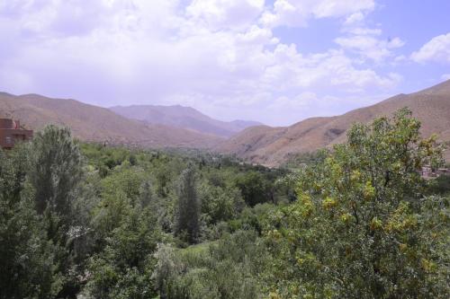 a view of a valley with mountains and trees at RIAD TOUBKAL D'ATLAS TIFNOUTe in Imlil