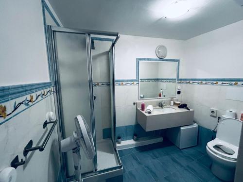 une salle de bain avec un lavabo, une douche et des toilettes dans l'établissement Lovely Studio Air Conditonned City Center, à Nice