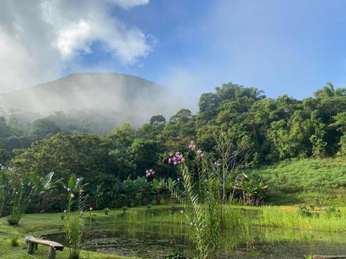 Landskap semula jadi dekat dengan chalet
