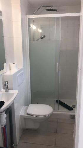 une salle de bain avec une douche avec des toilettes et un lavabo dans l'établissement Spacieux T2, à Colombes