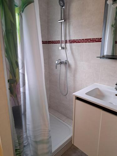 une salle de bain avec douche et lavabo dans l'établissement Le temps de vivre, à Baron