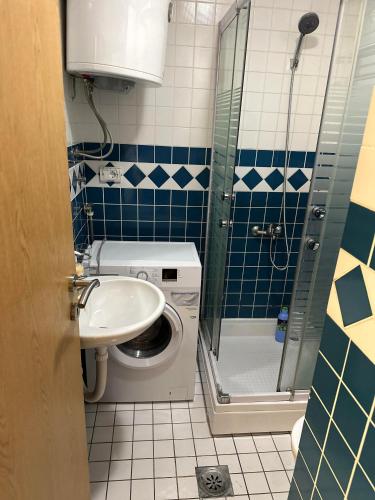 un bagno con lavandino e lavatrice di Due Sorelle a Podgorica