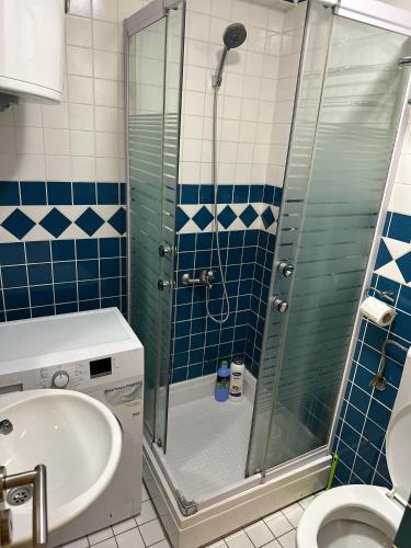 un bagno con doccia e lavandino di Due Sorelle a Podgorica