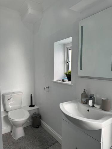 a white bathroom with a toilet and a sink at Spacious private cinema guest house in Brentwood