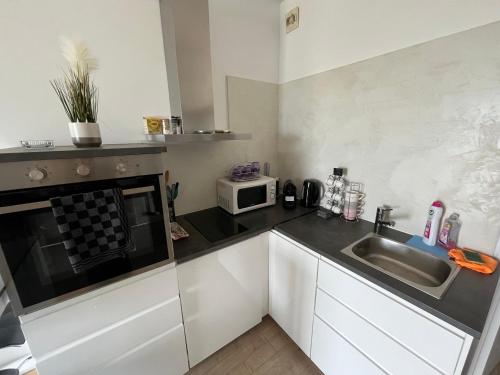 une petite cuisine avec un évier et un micro-ondes dans l'établissement Studio vue Mer, à Carry-le-Rouet