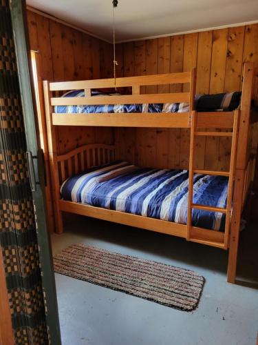 two bunk beds in a wooden room with a rug at cabin 1 in Manistique