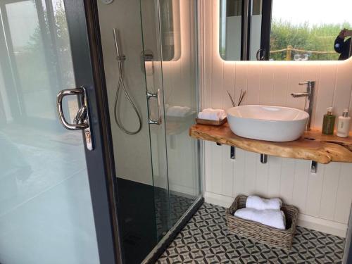 a bathroom with a sink and a shower with a mirror at The Bee Pods in Rossnowlagh