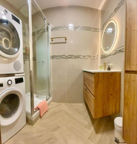 une salle de bain avec douche et machine à laver dans l'établissement Luxury apartement, près de Musée Louvre, à Paris