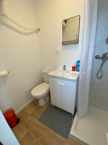 une salle de bain avec toilettes, lavabo et miroir dans l'établissement Le cosy duplex avec jardin à Poitiers, à Poitiers