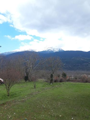 a field with snow capped mountains in the distance at Feneos apartment in Feneos