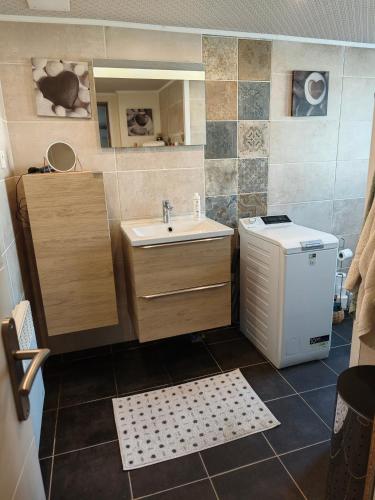 une salle de bain avec un lavabo et une machine à laver dans l'établissement Appartement Top entre mer et montagne, à Thèzan-lès-Béziers