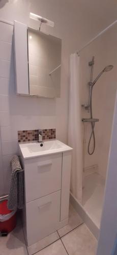 une salle de bain avec un lavabo blanc et une douche dans l'établissement Charmant studio rénové avec balcon, à Aix-les-Bains