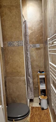 une salle de bain avec toilettes dans une chambre dans l'établissement Studio de charme Paris Champs Elysees, à Paris