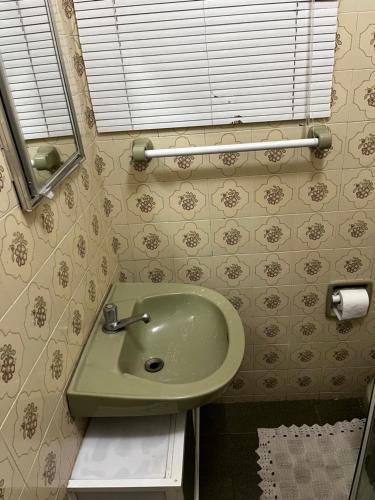 een badkamer met een groene wastafel en een raam bij Apartamento Duplex Cobertura 5 min do centro in Juiz de Fora