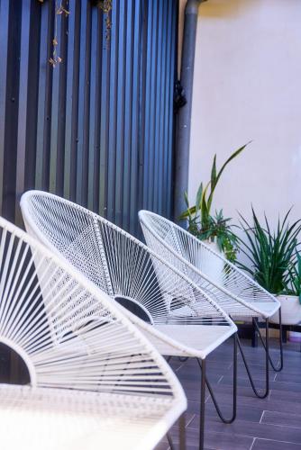a row of white chairs sitting on a patio at Terraza Catedral Hostel in León
