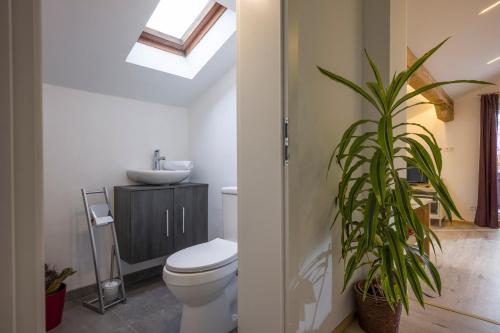 Appartement Herbert by NV-Appartements
